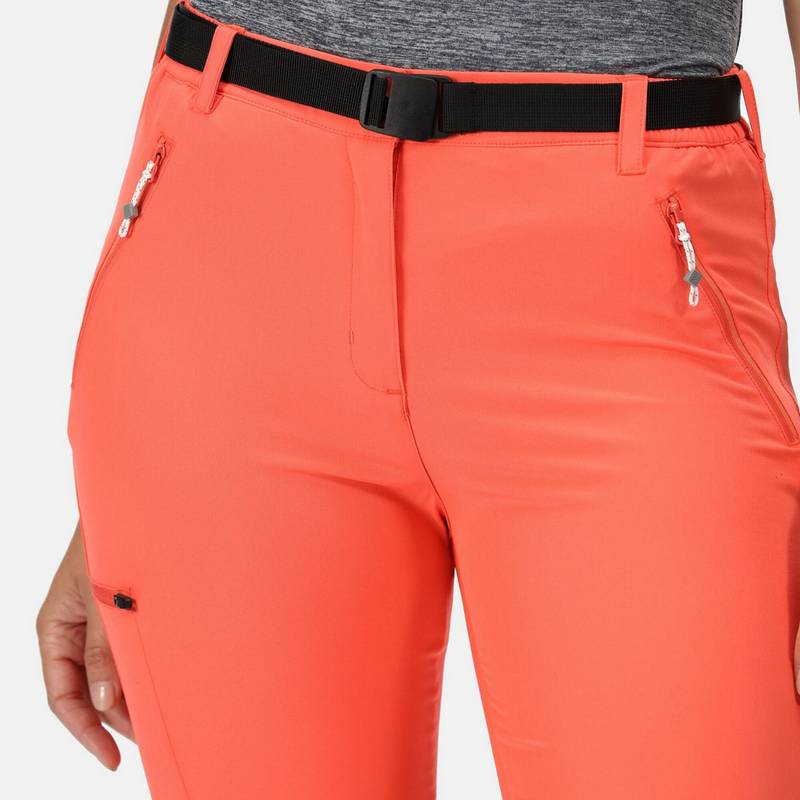 Regatta Xert Capri Wanderhose Damen