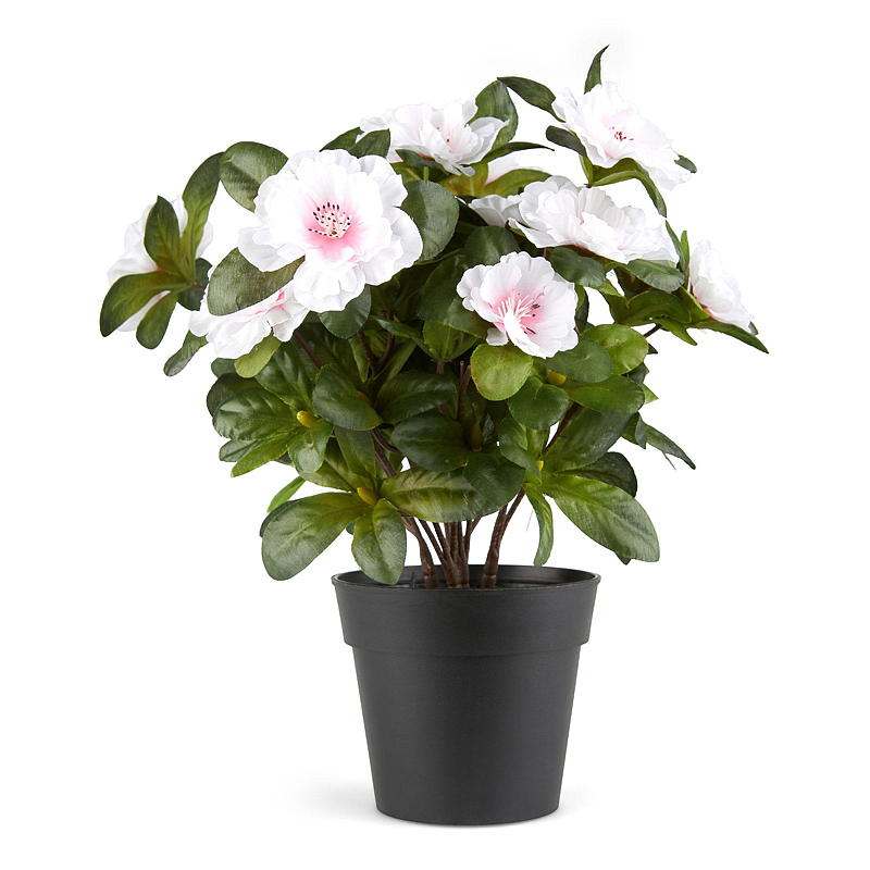 Home Belgisk Azalea 25 cm kunstig
