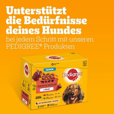 Pedigree Senior Frischebeutel Multipack Nassfutter für Hunde