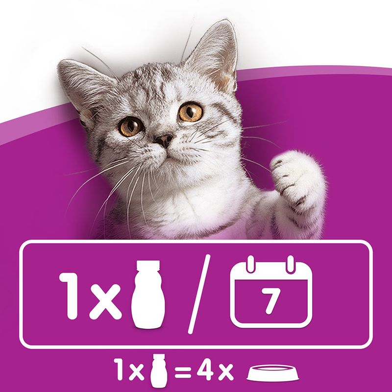 Whiskas Katzenmilch zu TOP-Preisen
