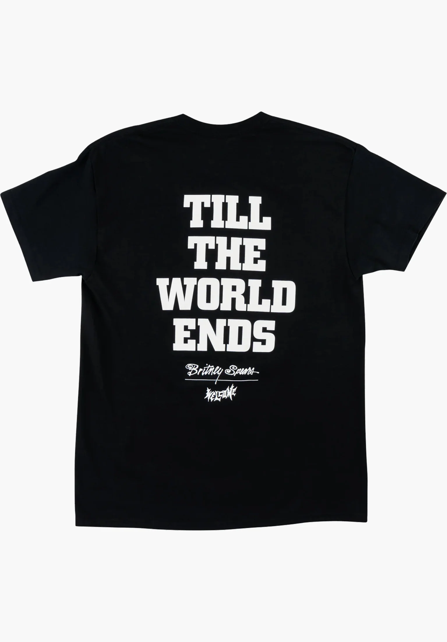 x Britney Spears Till The World Ends