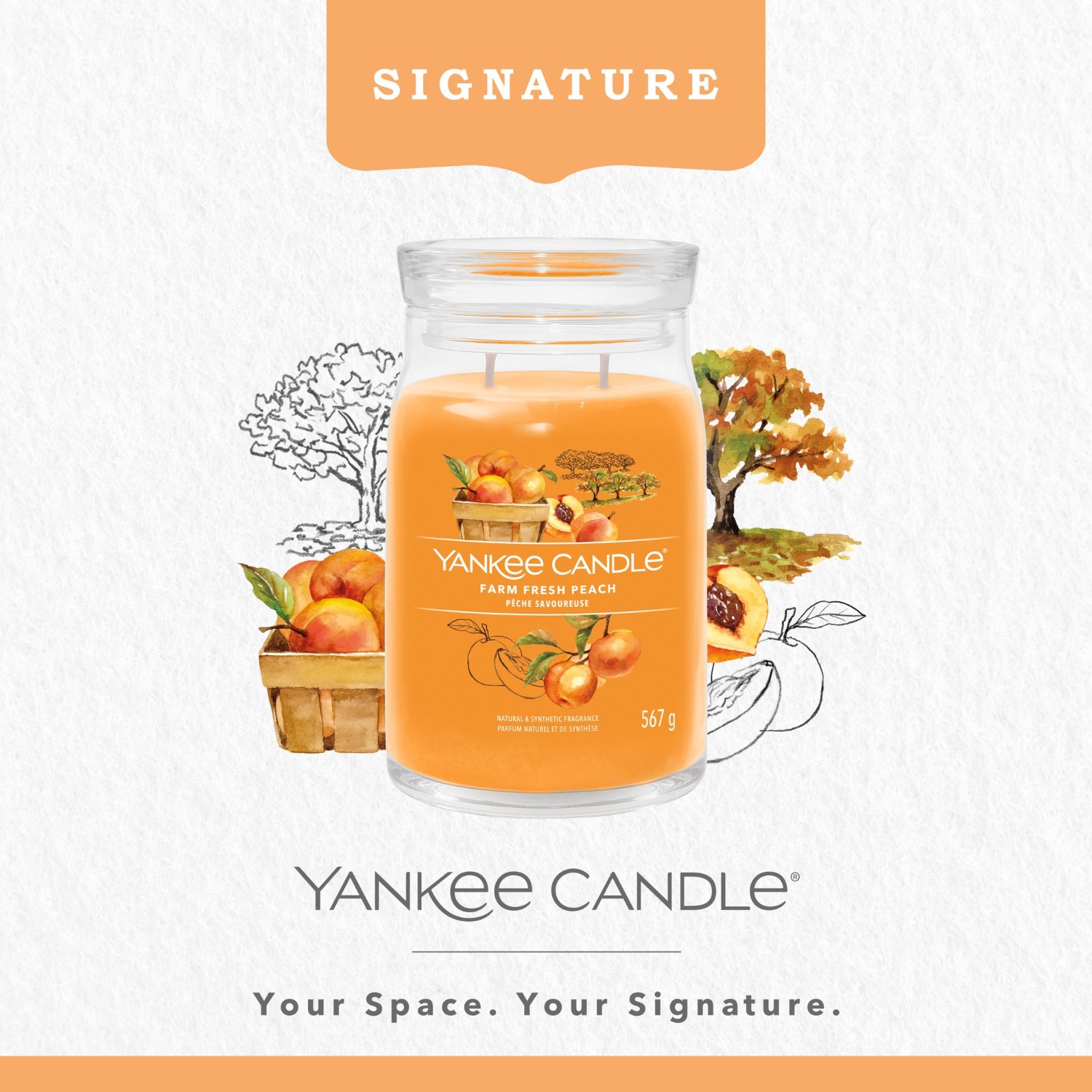 YANKEE CANDLE Velká sklenice svíčky Tasty Peach