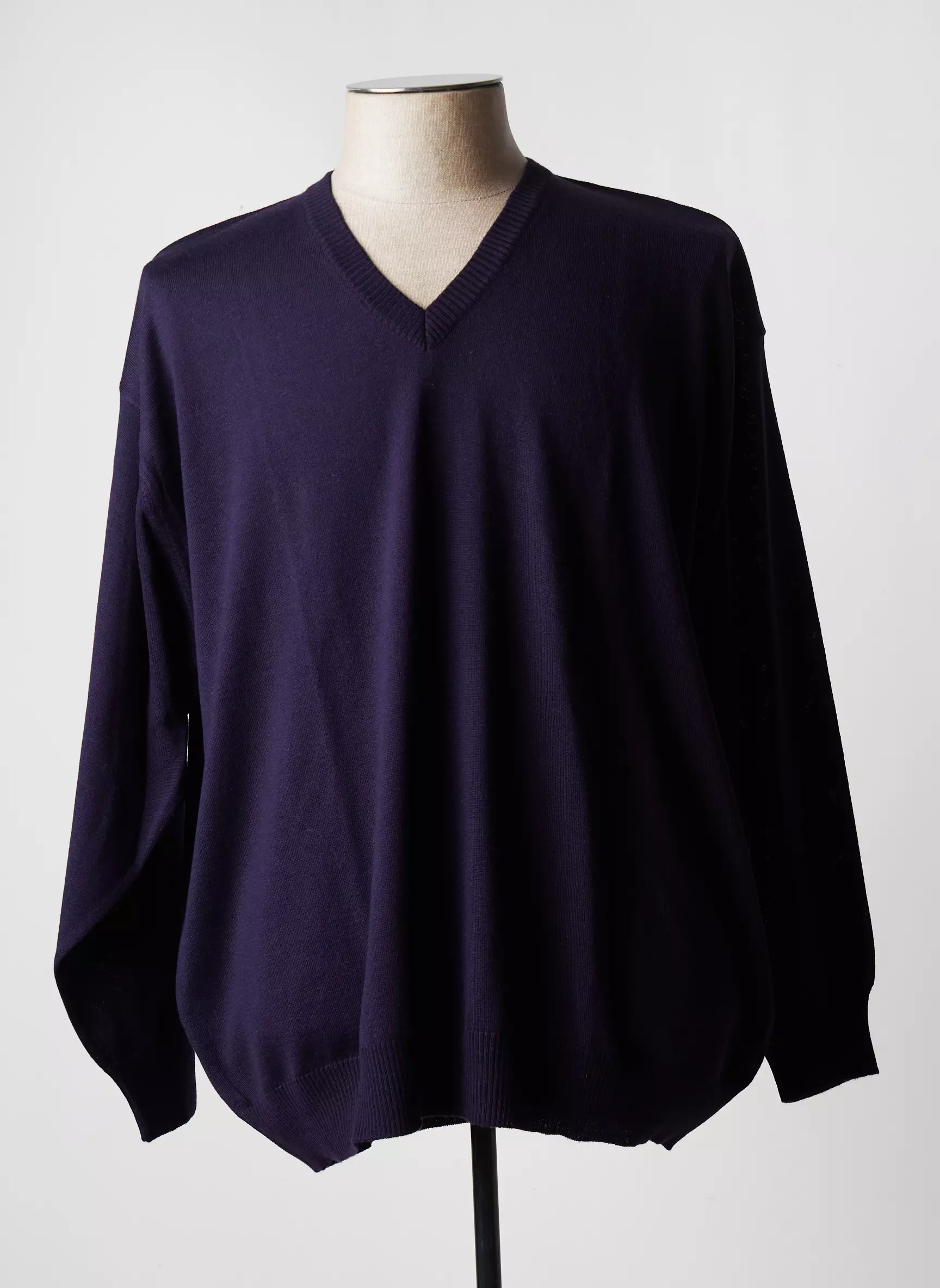 Maxfort Pulls Homme couleur violet
