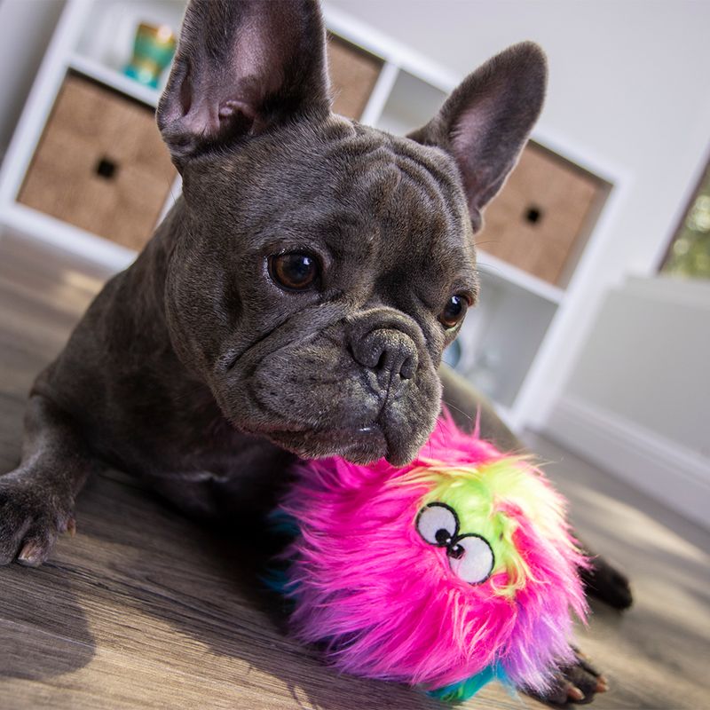 goDog Hundespielzeug Furballz Regenbogen zu TOP-Preisen