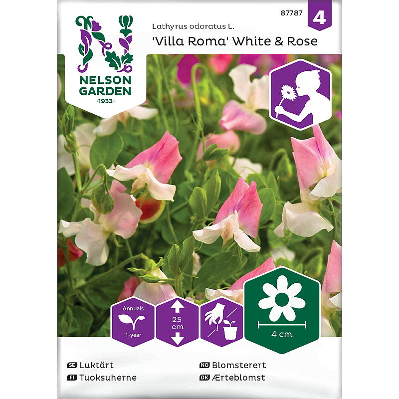 Nelson garden Frø Blomsterert Villa Roma White & Rose