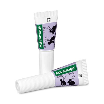 Advantage® für Katzen und Zierkaninchen