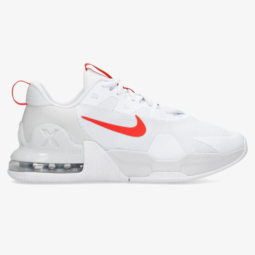 Nike Air Max Alpha Trainer 5 DM0829-012 / grau