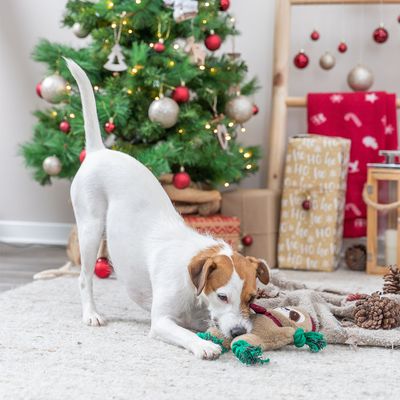 Trixie Hundespielzeug Xmas Faultier