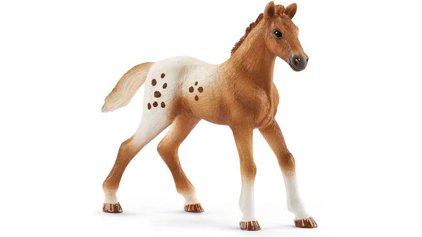 Schleich 42433 - Horse Club - Lisas Turnier-Training