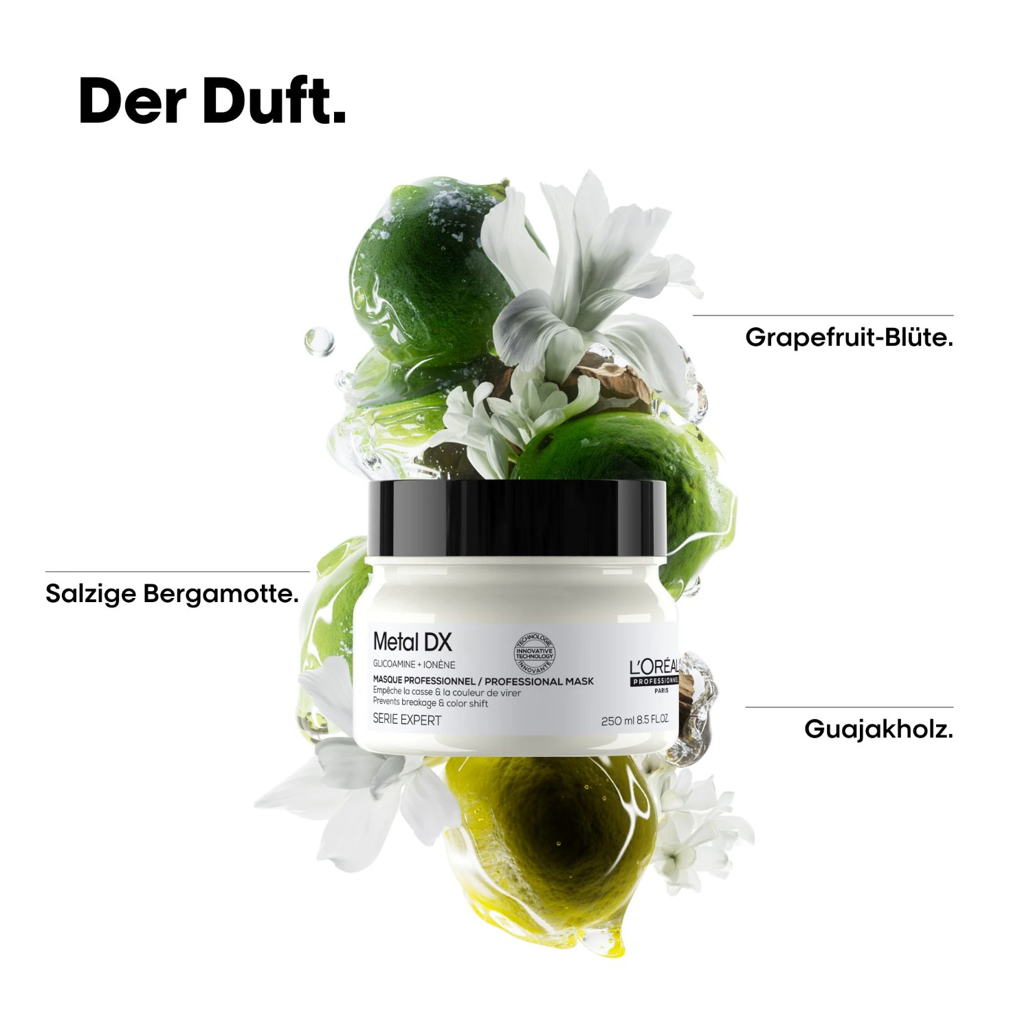L'Oréal Professionnel Paris maska