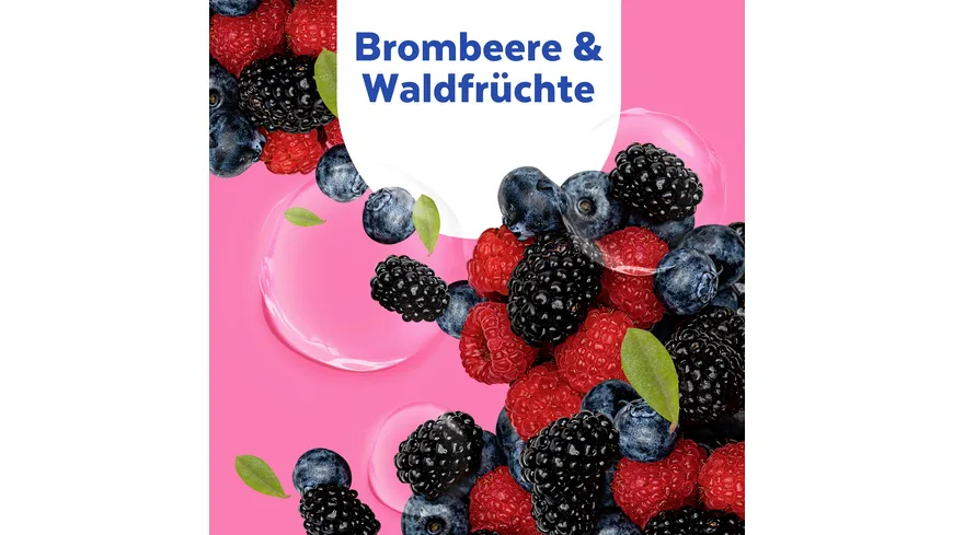 Sagrotan No Touch Brombeere & Waldfrüchte​ Nachfüllung 250 ml