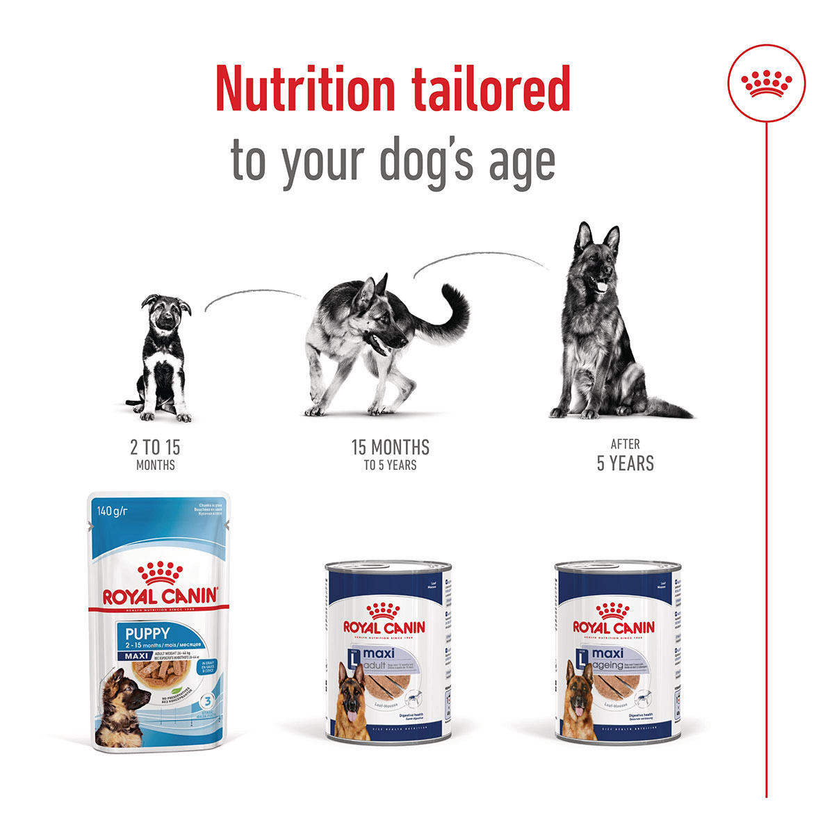 Royal Canin SHN Maxi Adult Loaf Can günstig kaufen bei ZooRoyal