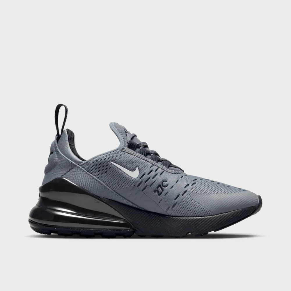 Nike Air Max 270 FN7786-001 / grau