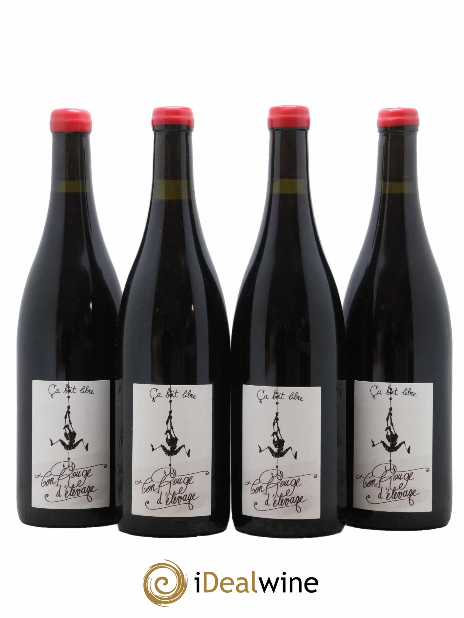 Vin de Savoie Ton rouge d'élevage Domaine Ca boit libre 2021 - Lot de 4 Bouteilles