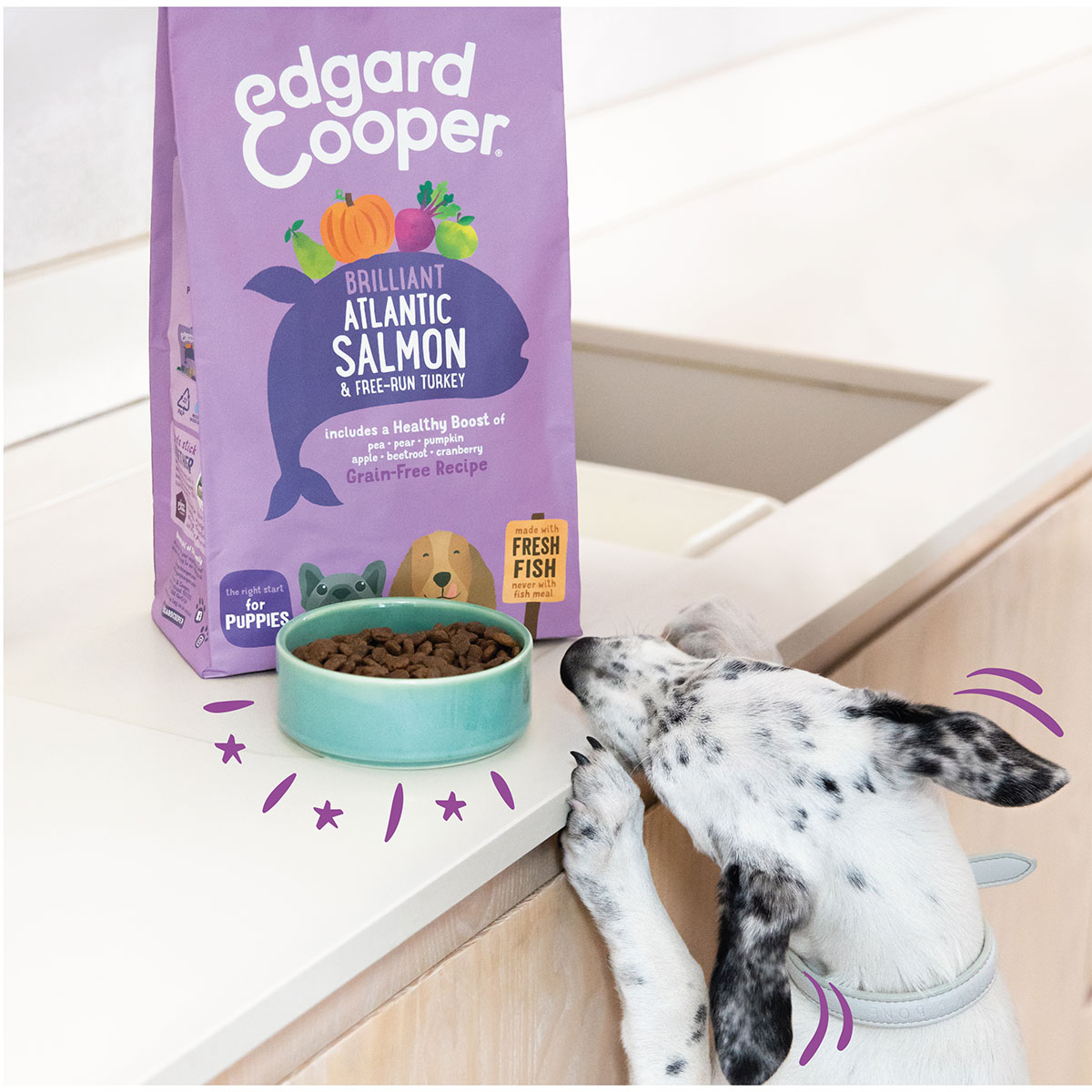 Edgard & Cooper Junior Lachs & Truthahn kaufen bei ZooRoyal