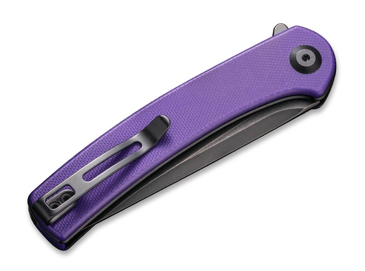 Mini Asticus Purple G10