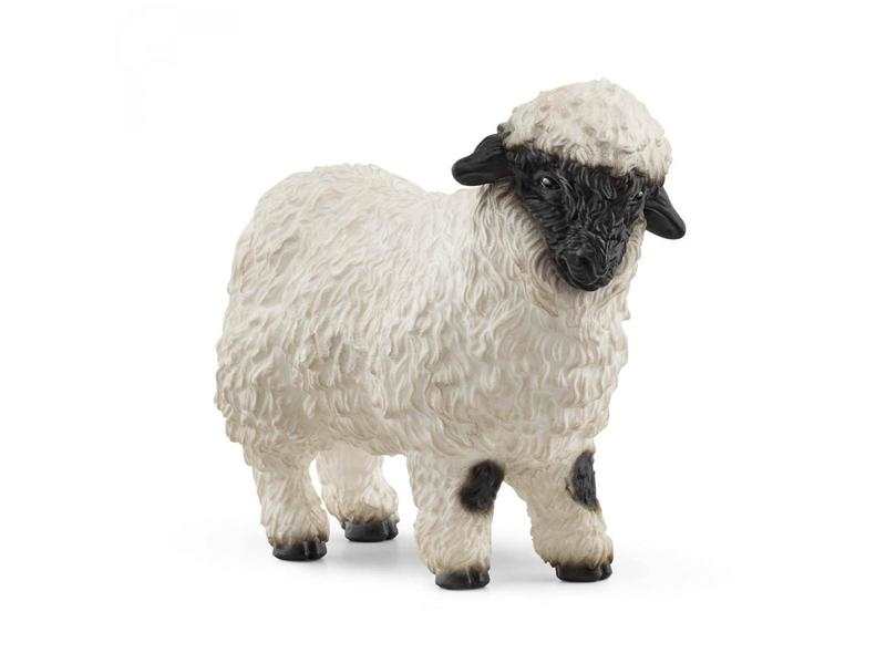 Mouton Nez Noir