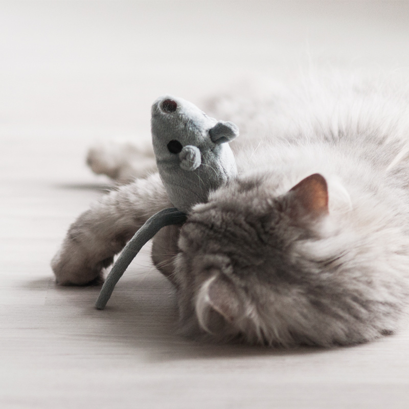 Aumüller Baldrian & Catnipspielzeug Aumüller befüllbare Maus