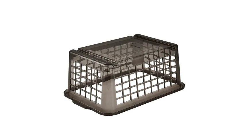 keeeper Minikorb 25 cm crystal grey (transparent)