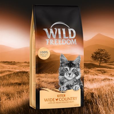 Wild Freedom Kitten 