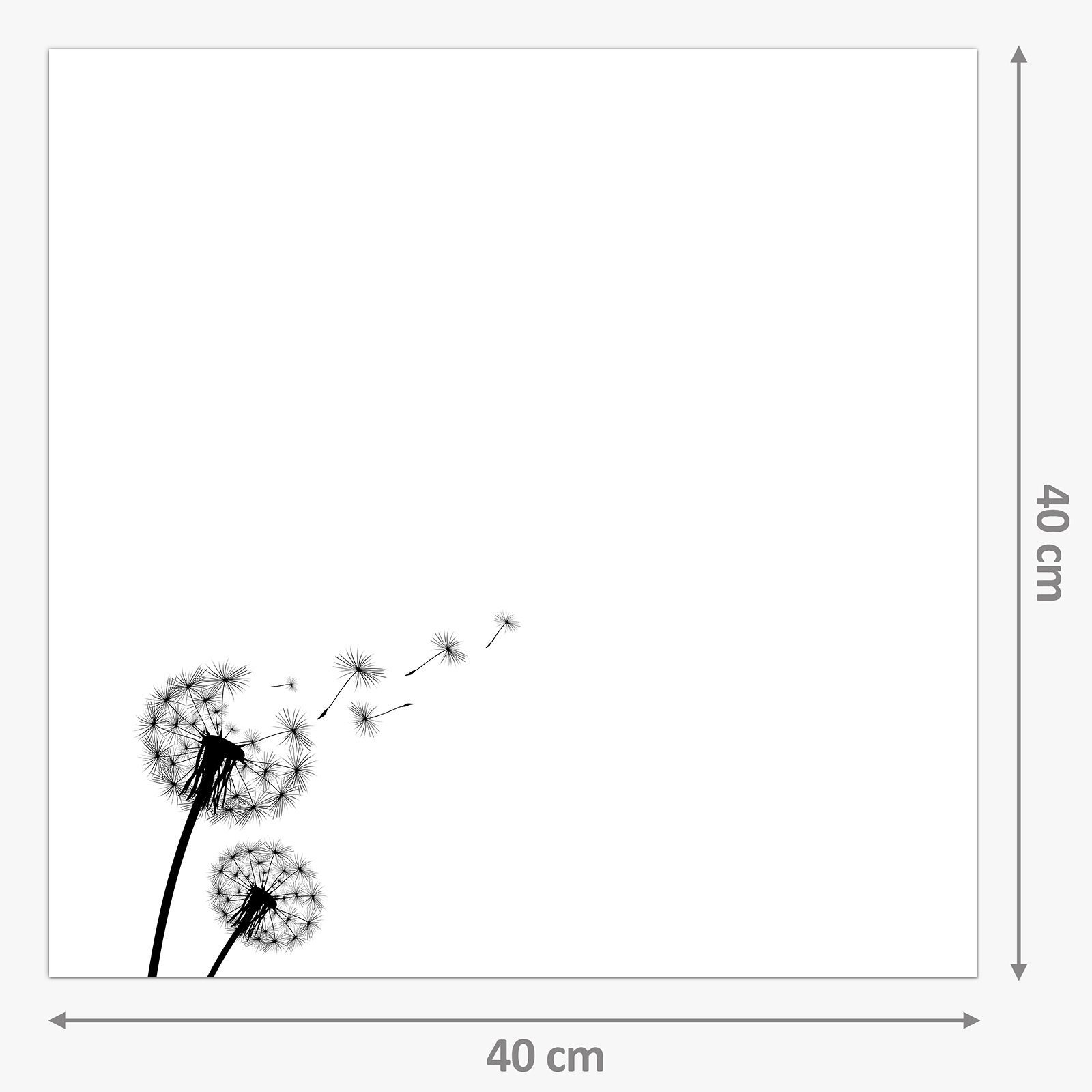 Primedeco Küchenrückwand Küchenrückwand Spritzschutz Glas mit Motiv Löwenzahn Silhouette