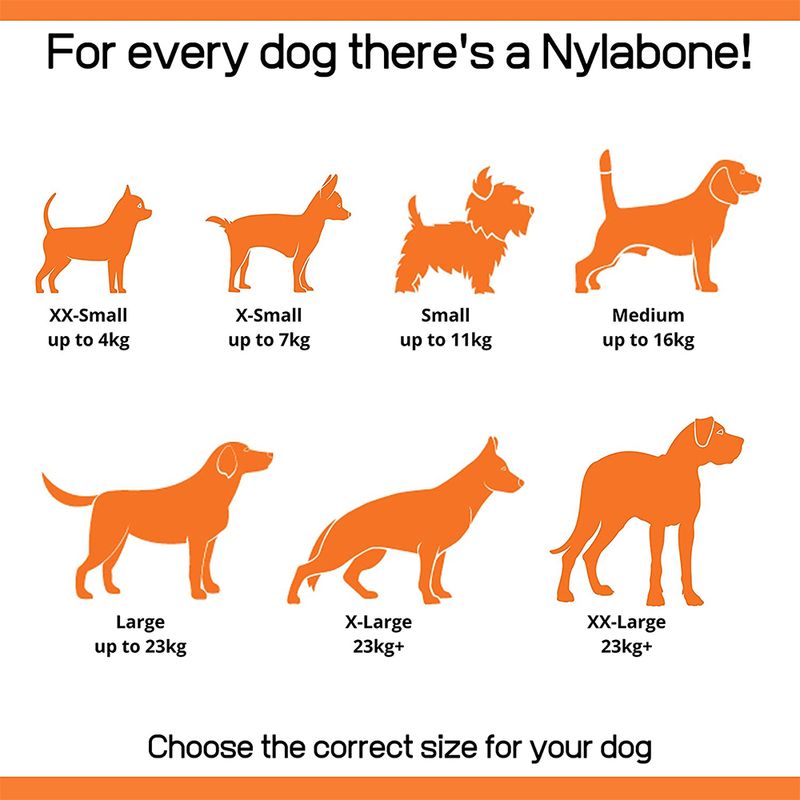 Nylabone Welpen X-Bone Kauspielzeug zu TOP-Preisen