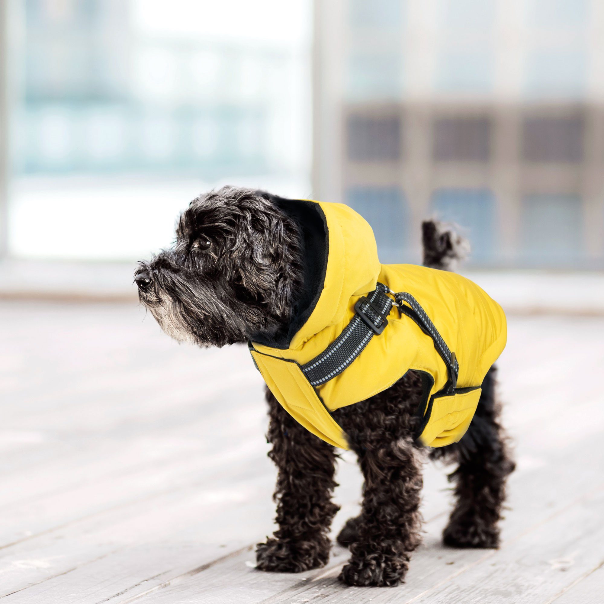 Nobby Hundemantel Hundemantel Nida 2 in 1, in verschiedenen Größen