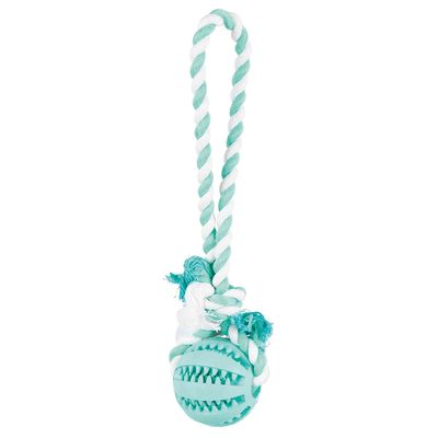 Trixie Denta Fun Spieltau mit Ball
