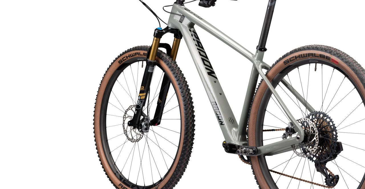 Radon Jealous 10.0 EA kaufen | Bike-Discount