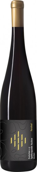 2018 Evolution 2.18 Spätburgunder Auslese trocken Bio - Weingut Forsthof