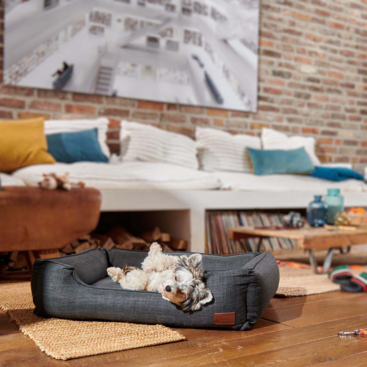 furrysoul Hundebett Tilda anthrazit günstig kaufen bei ZooRoyal