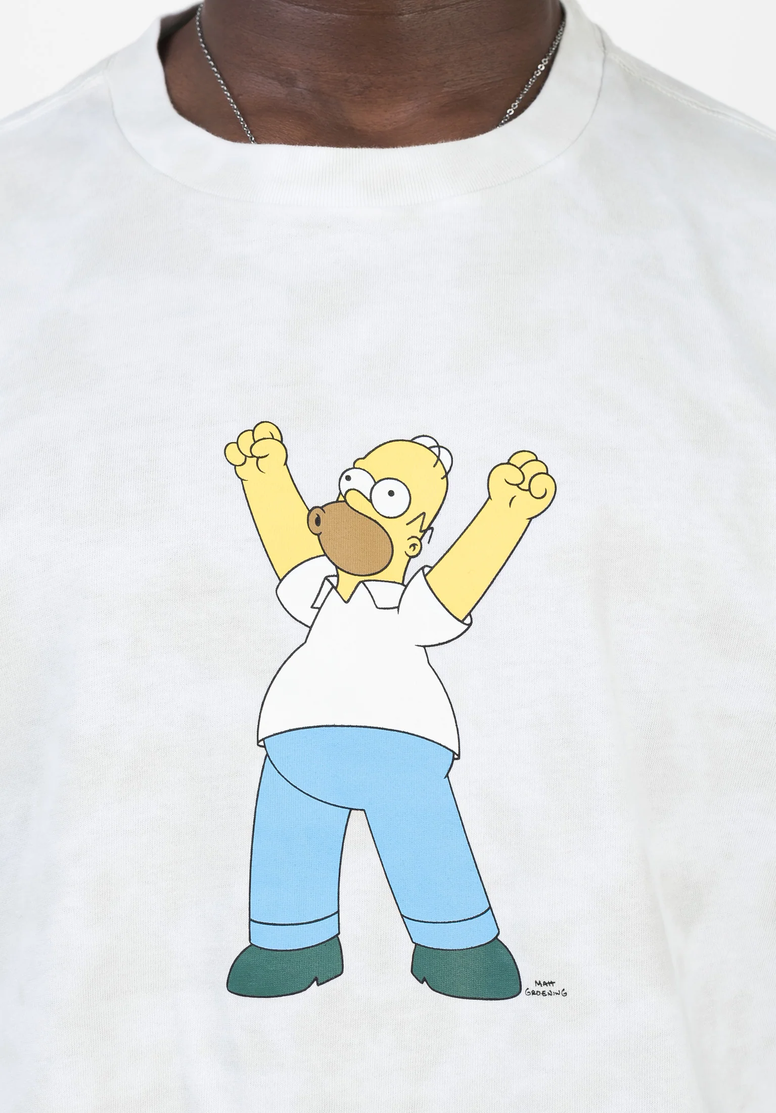 x Simspons Homer