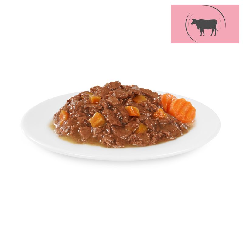 Briantos Chunks in Gravy 12 x 100 g