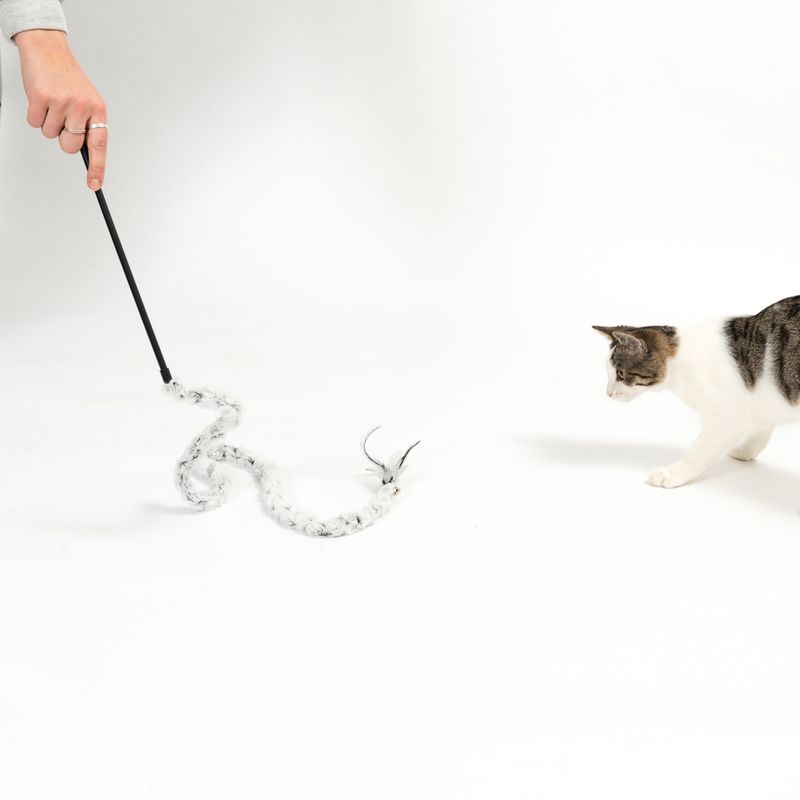 Katzenangel Plush Tail zu TOP-Preisen