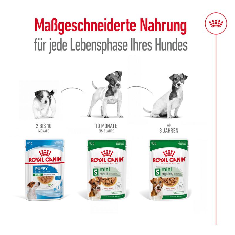 Royal Canin Mini Adult  in Soße