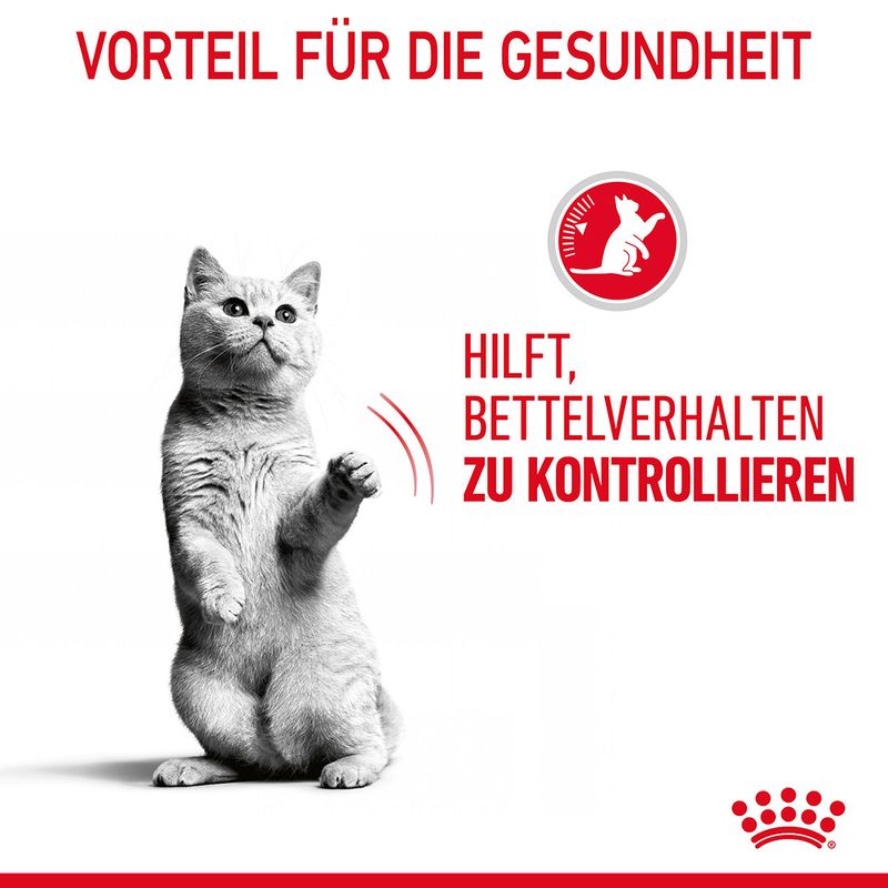 Royal Canin Appetite Control Care in Gelee