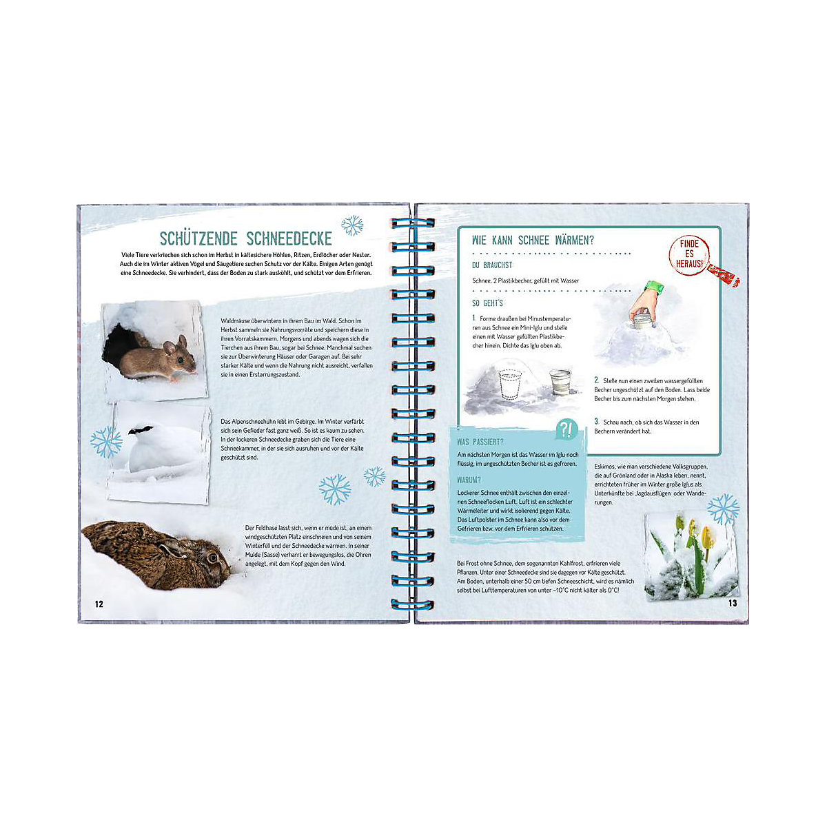 Das große Winterbuch