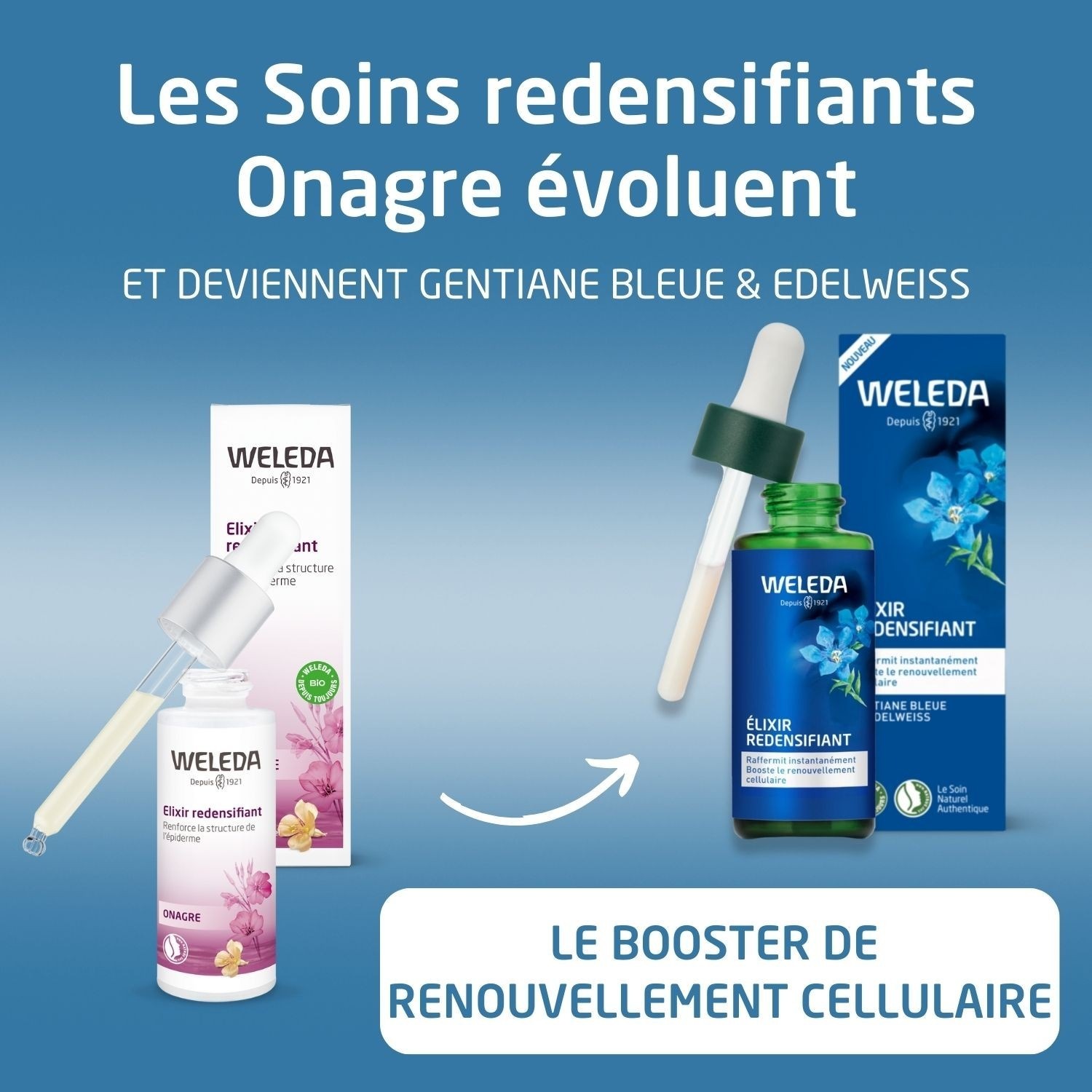 Weleda Eliksir za zgušnjavanje s plavim encijanom i runolistom - 30 ml
