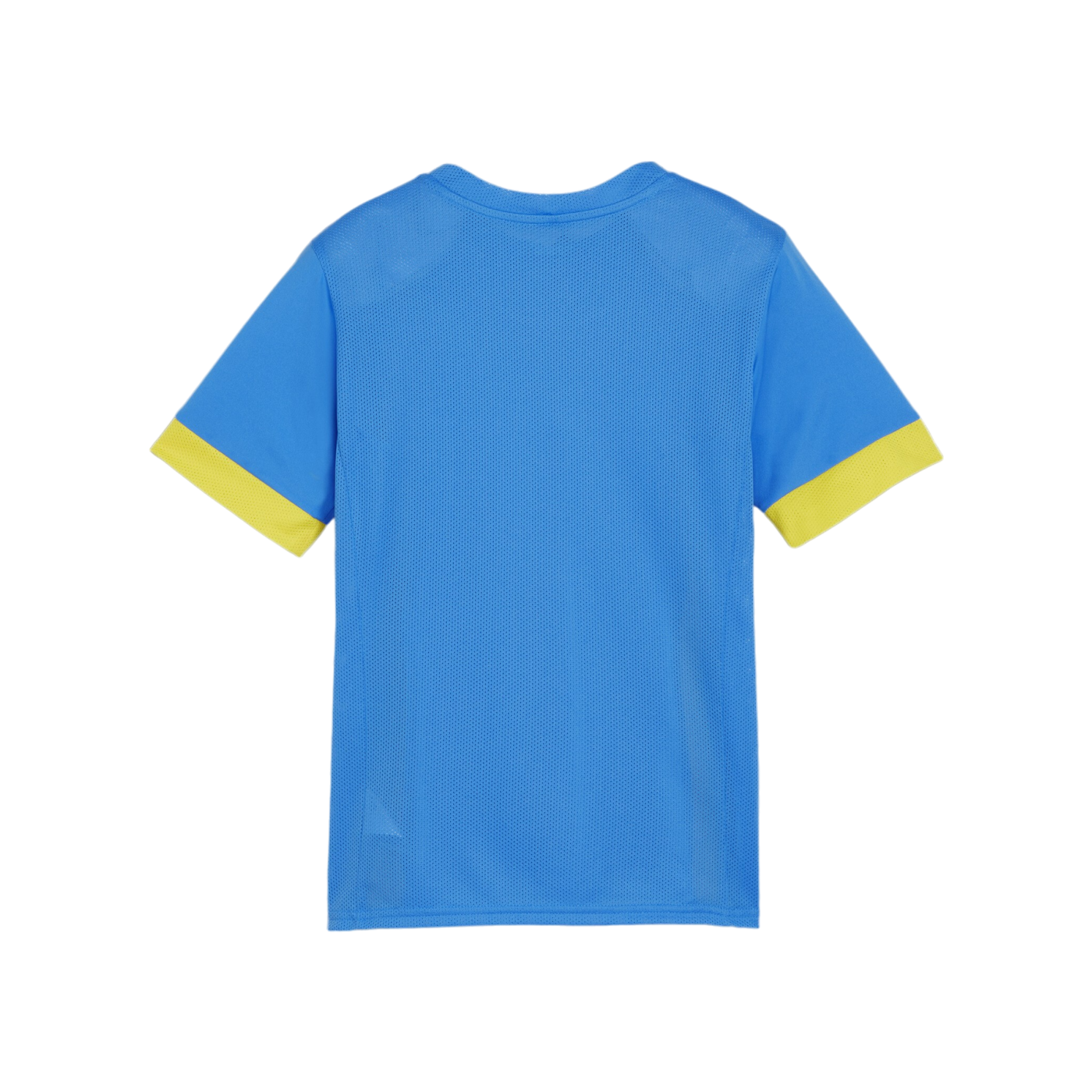 PUMA teamGOAL Matchday Trikot Kids Blau Gelb F16