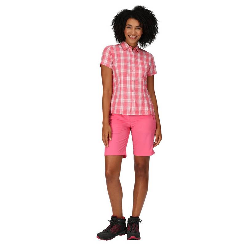 Regatta Mindano VII Funktionsbluse Damen