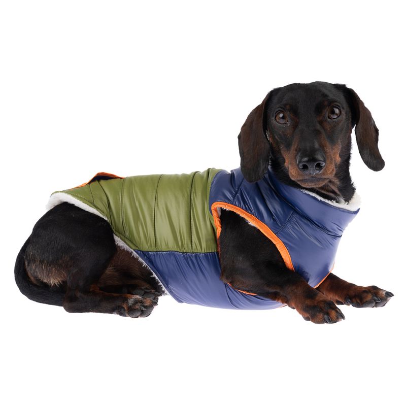TIAKI Hundejacke Stripes zu TOP-Preisen
