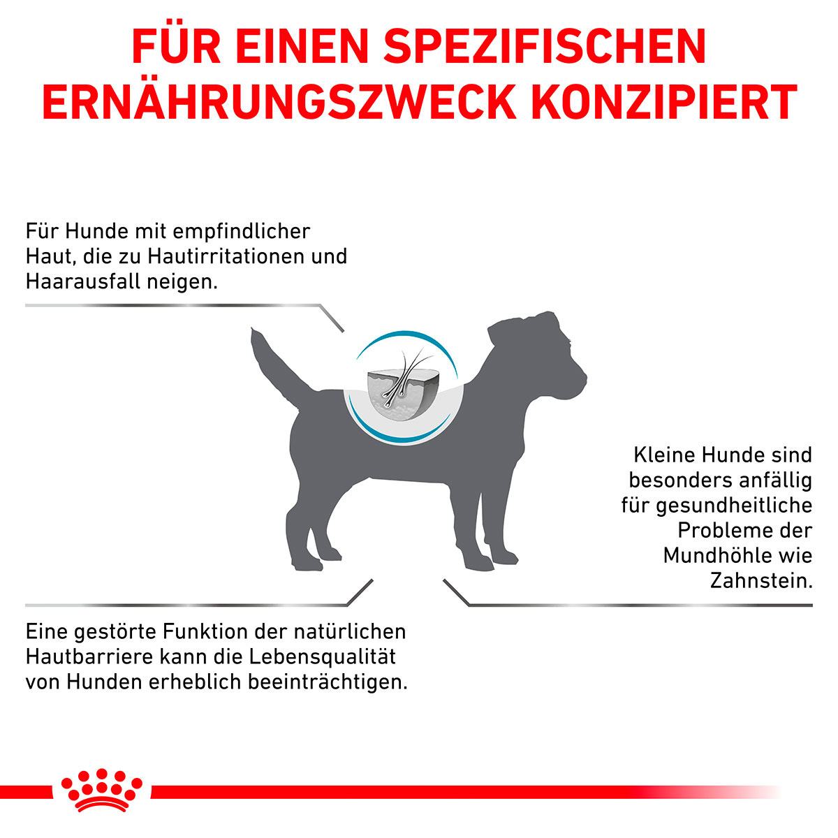 ROYAL CANIN Veterinary SKIN CARE SMALL DOGS Trockenfutter für Hunde