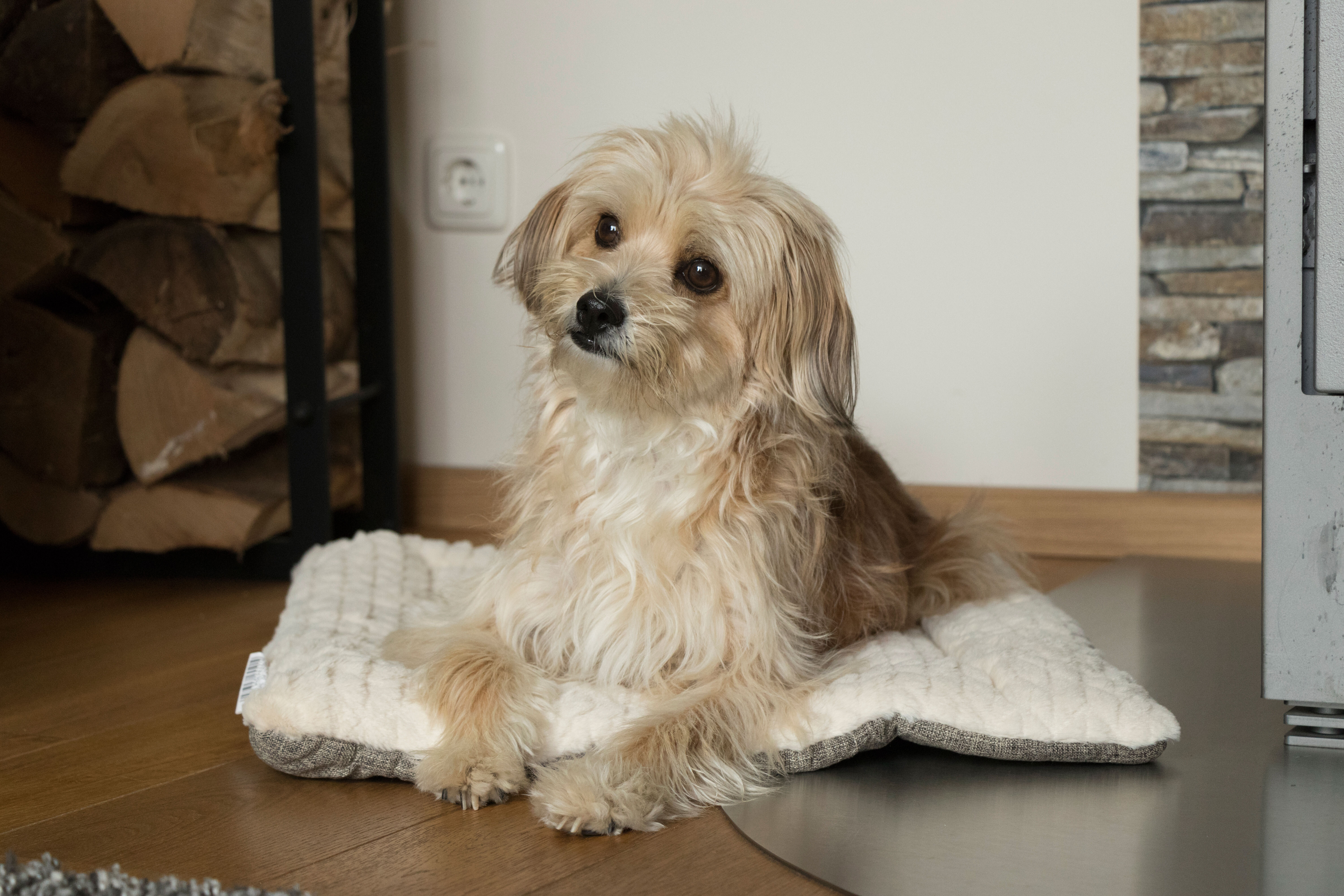 TrendPet Hundedecken TrendPet Heaven gefütterte Liegedecke beige XS
