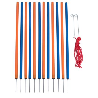 Agility Set: Fun & Sport Set
