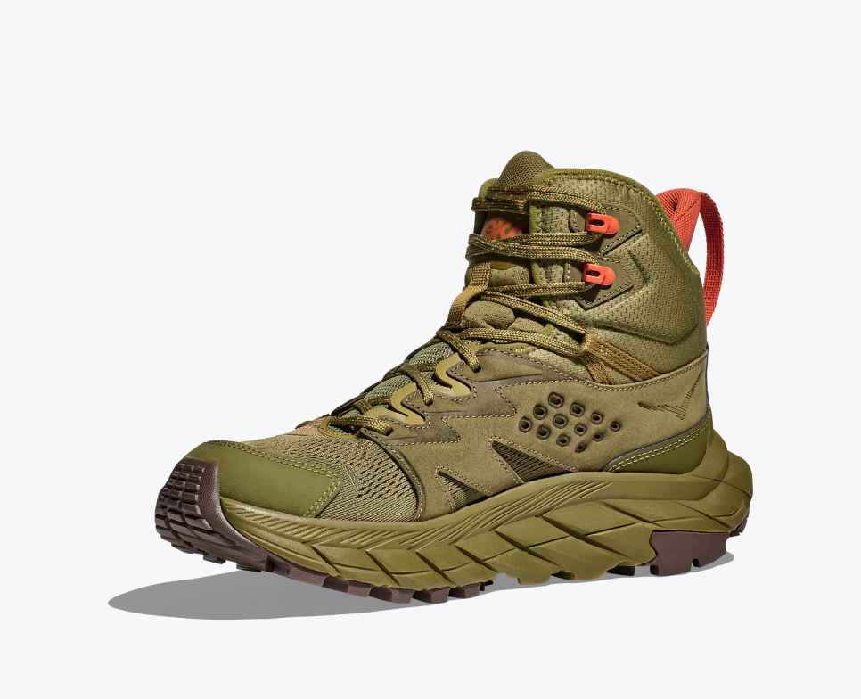 Anacapa Breeze middels Avocado / Burnt Ochre