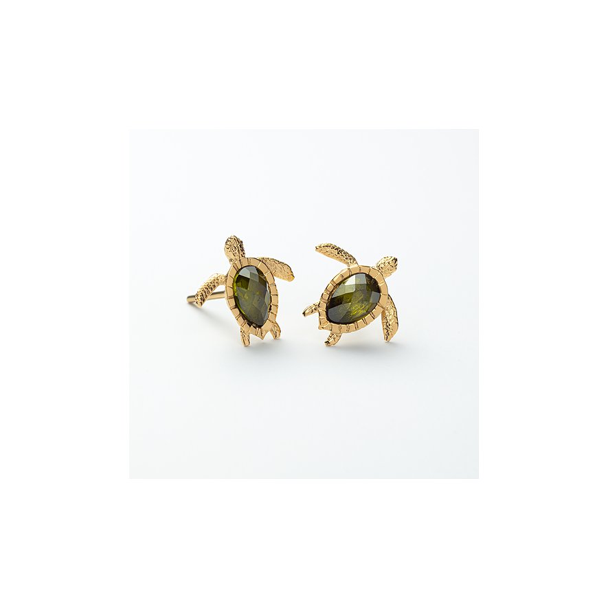 Paul Hewitt Ohrstecker Turtle