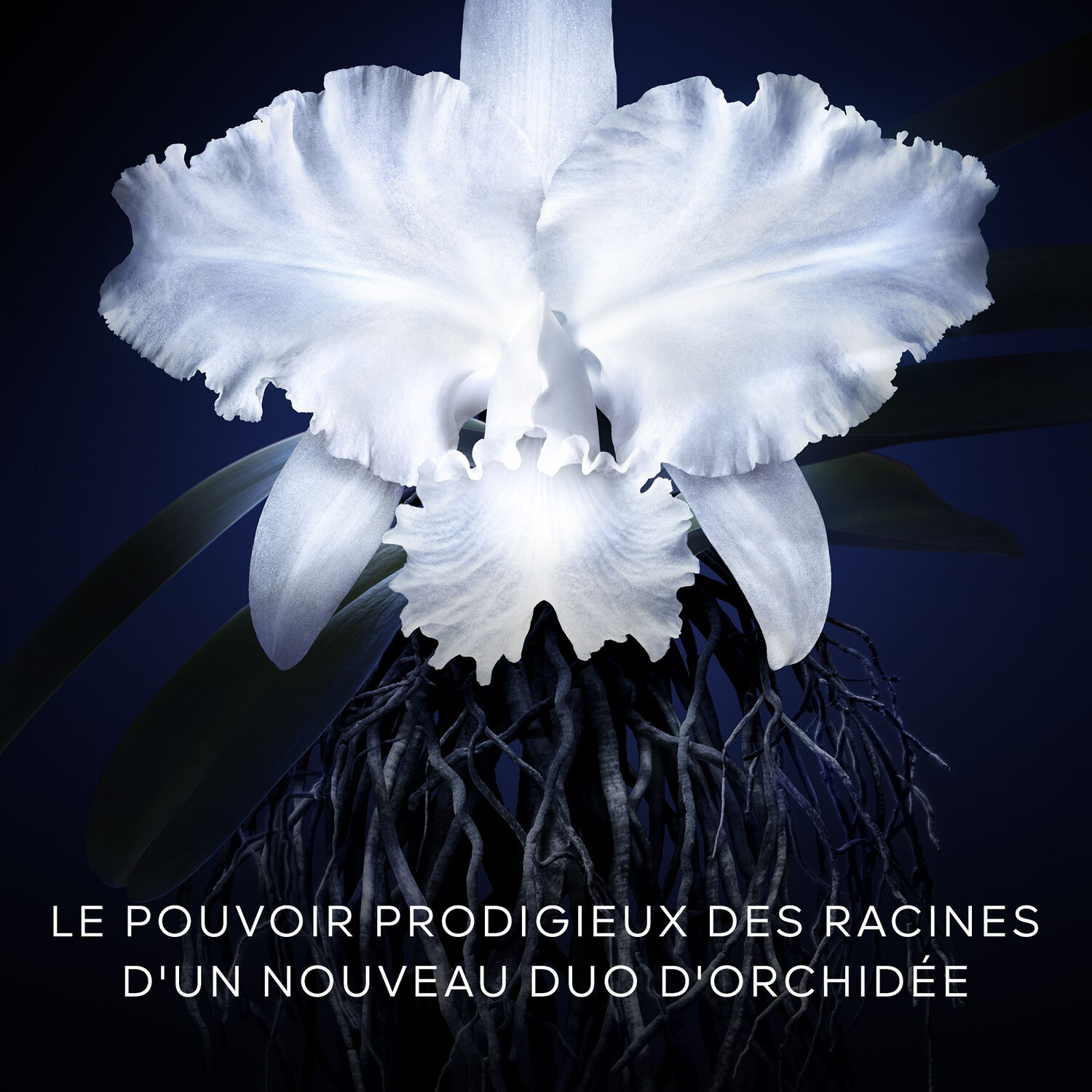 Guerlain Orchidée Impériale La crème Légère