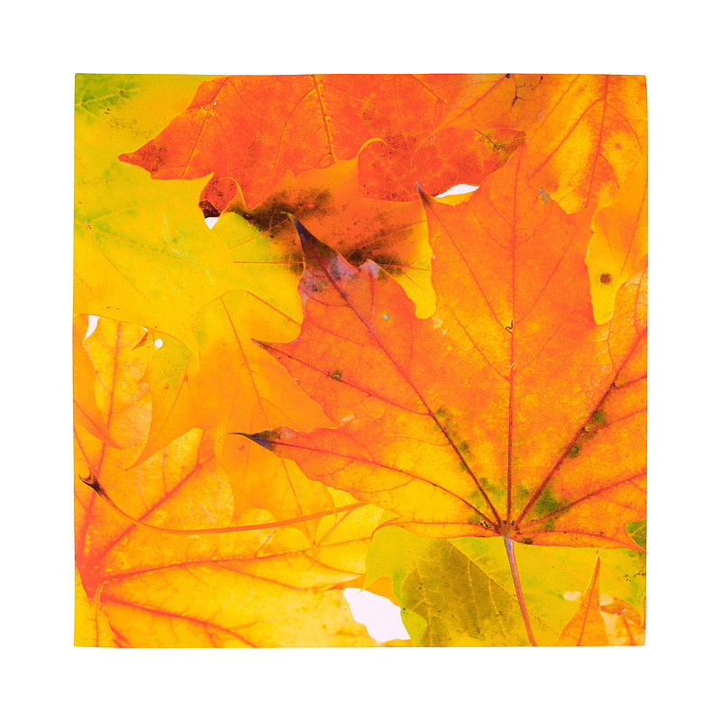 Vie Eco Servietter 20-pk 33x33 cm Høstsesong
