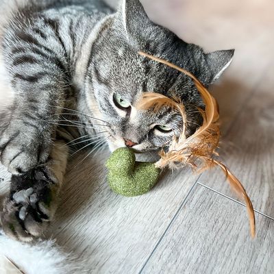 Aumüller Silvervine Dentalspielzeug 2er Set Vögelchen
