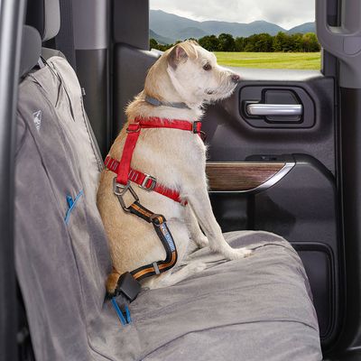 Kurgo Hundegurt fürs Auto, orange